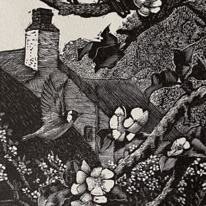 Finches by Charles Tunnicliffe - Image 2