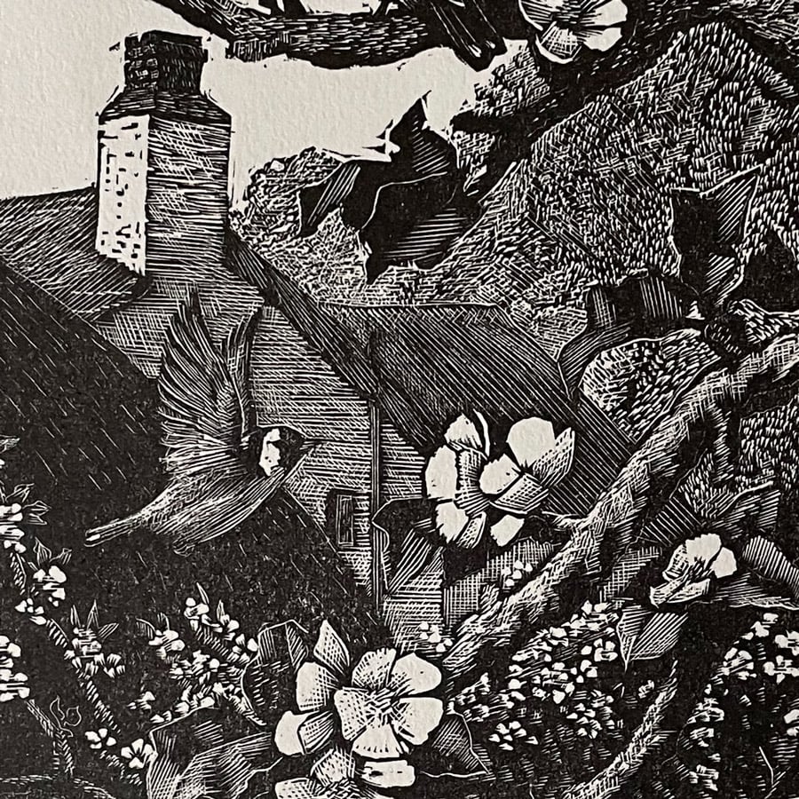 Finches by Charles Tunnicliffe - Image 2
