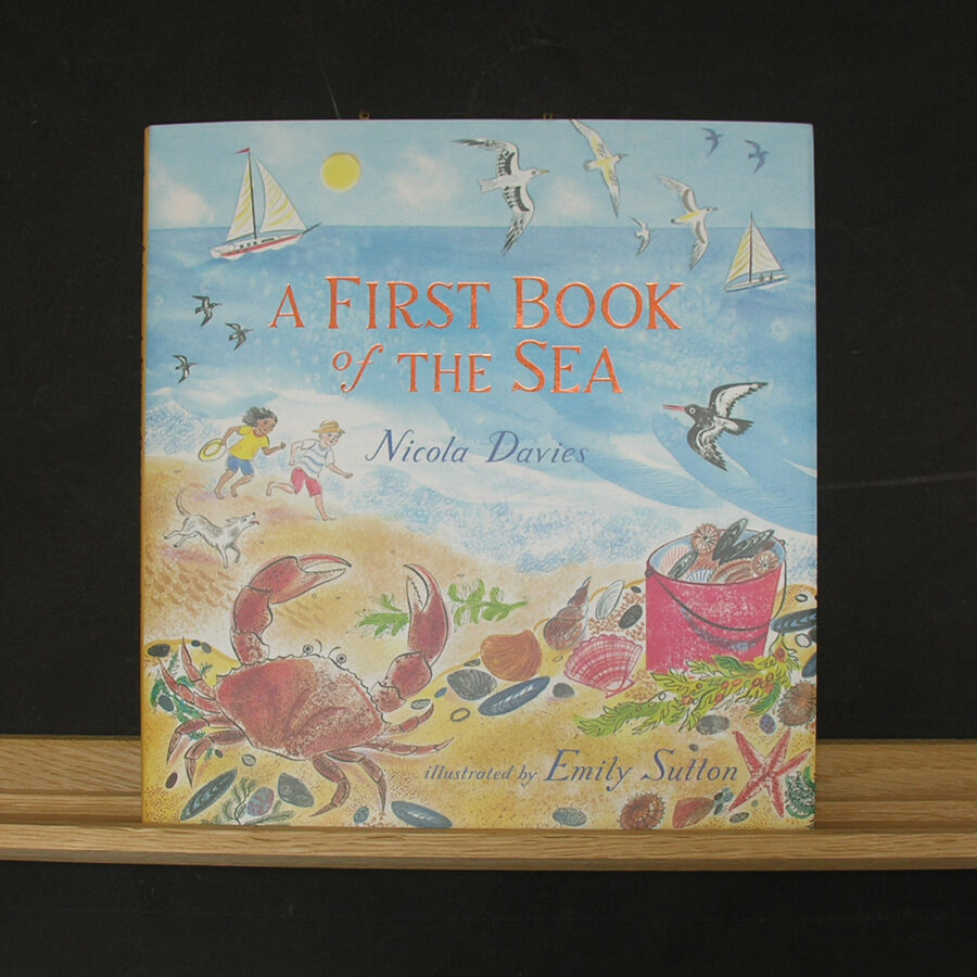 A First Book of the Sea by Nicola Davies - Image 1