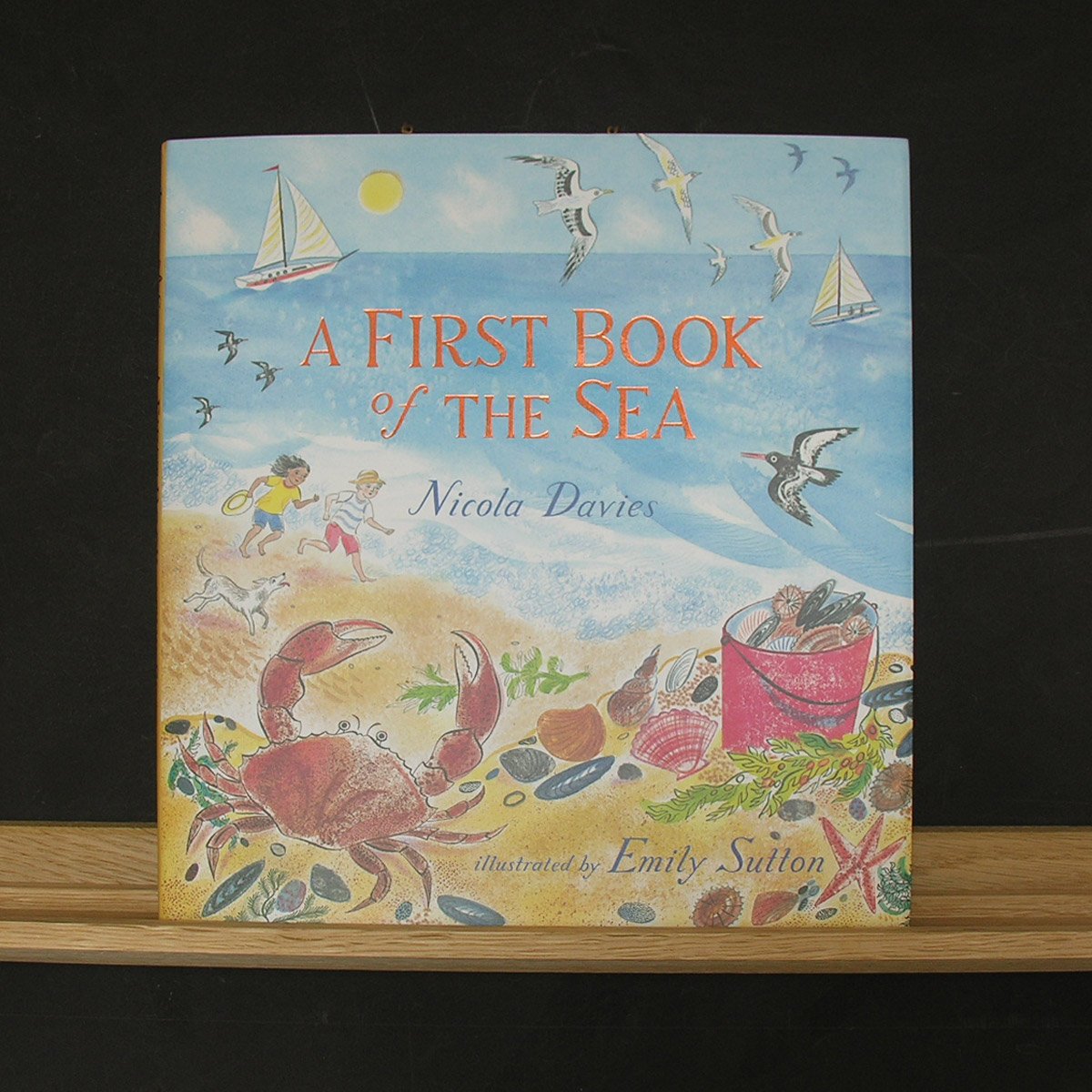 A First Book of the Sea by Nicola Davies - Image 1