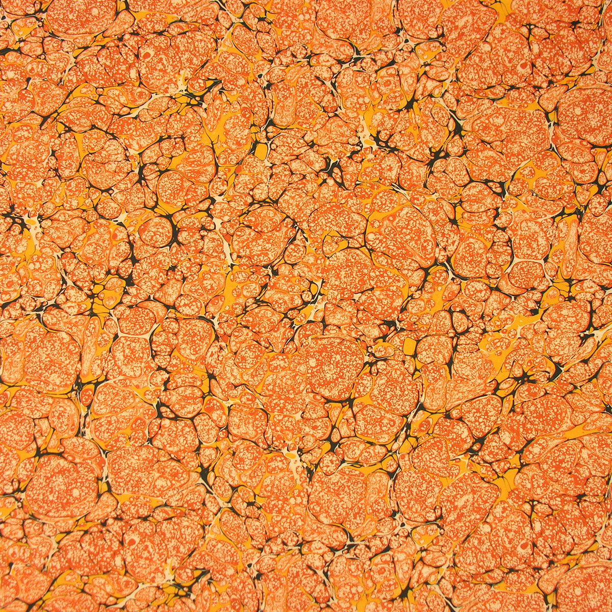Folio 3 - Marbled Fabric - Image 2