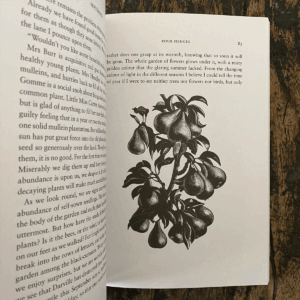 Four Hedges by Clare Leighton - Image 3