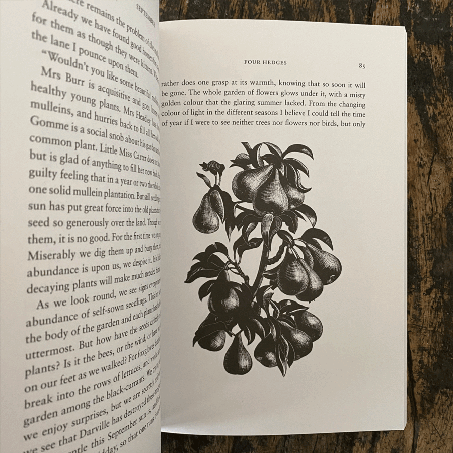 Four Hedges by Clare Leighton - Image 3