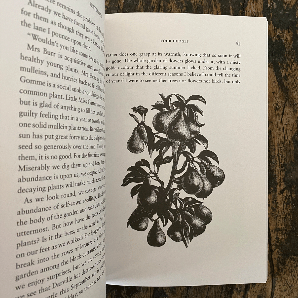 Four Hedges by Clare Leighton - Image 3