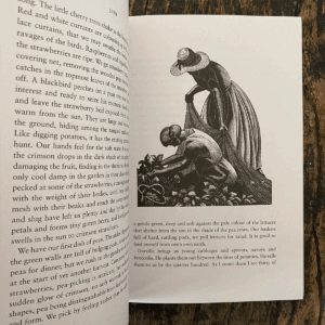 Four Hedges by Clare Leighton - Image 2