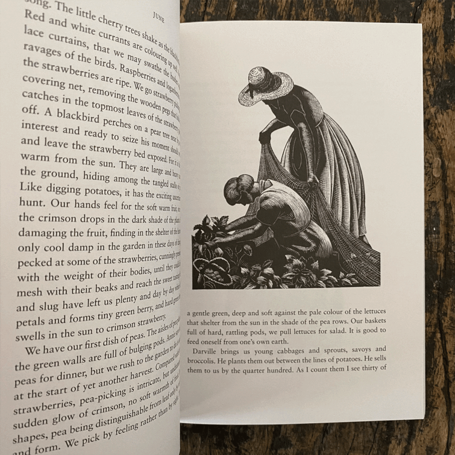 Four Hedges by Clare Leighton - Image 2