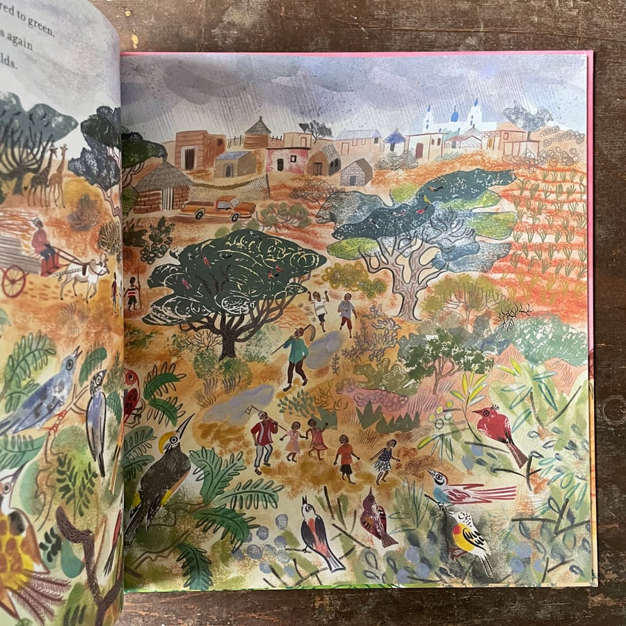 The Season of Giraffes by Nicola Davies & Emily Sutton - Image 3