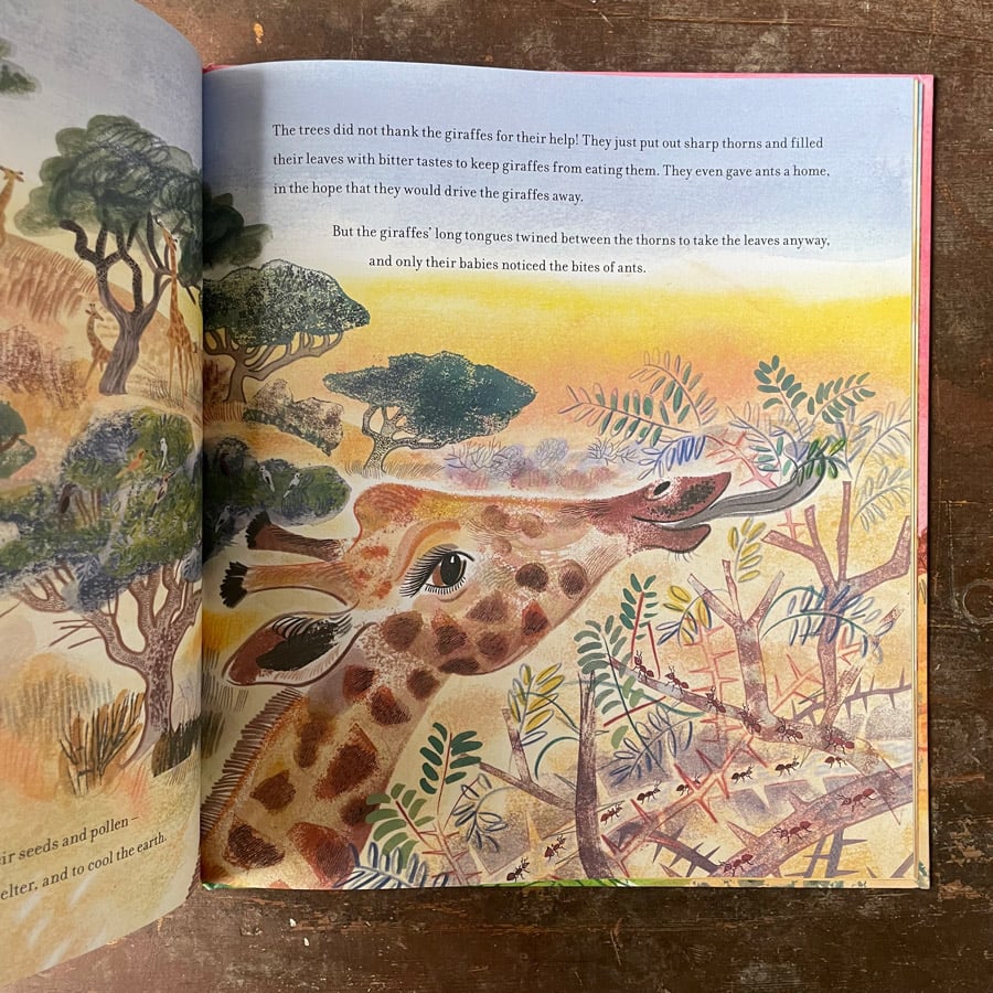 The Season of Giraffes by Nicola Davies & Emily Sutton - Image 2