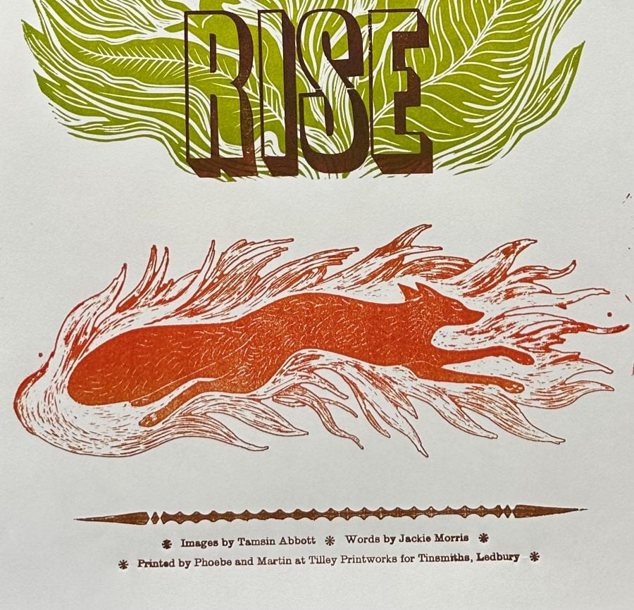 Wild Folk Letterpress Poster by Tamsin Abbott & Jackie Morris - Image 3