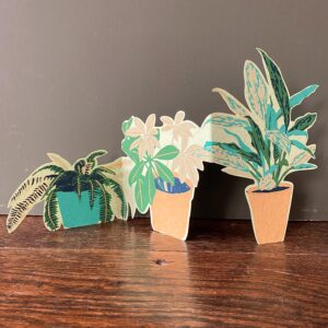 Fold Out Houseplants Card