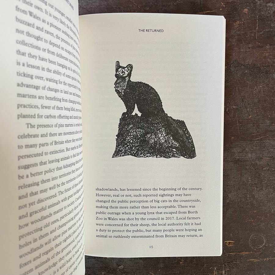 How To See Nature by Paul Evans - Image 2