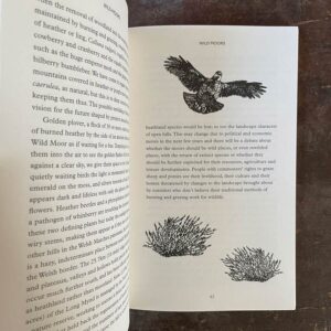 How To See Nature by Paul Evans - Image 3