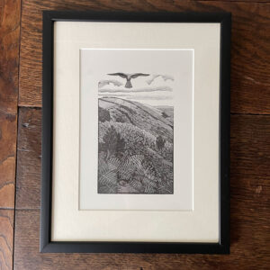 Kestrel by Charles Tunnicliffe - Image 4