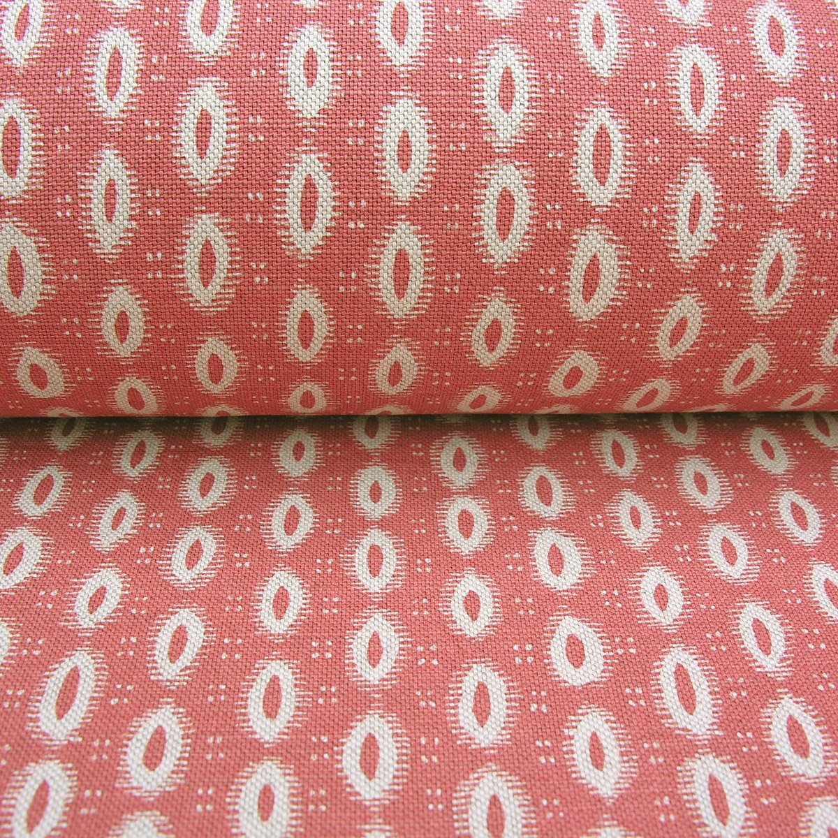 Macita - Bengal - Image 3