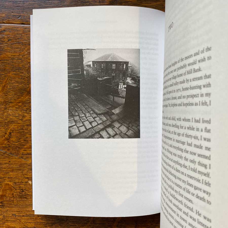 Millstone Grit by Glyn Hughes - Image 2