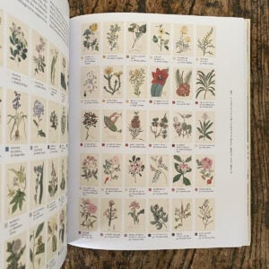 Nature's Palette: A Colour Reference System From the Natural World - Image 2