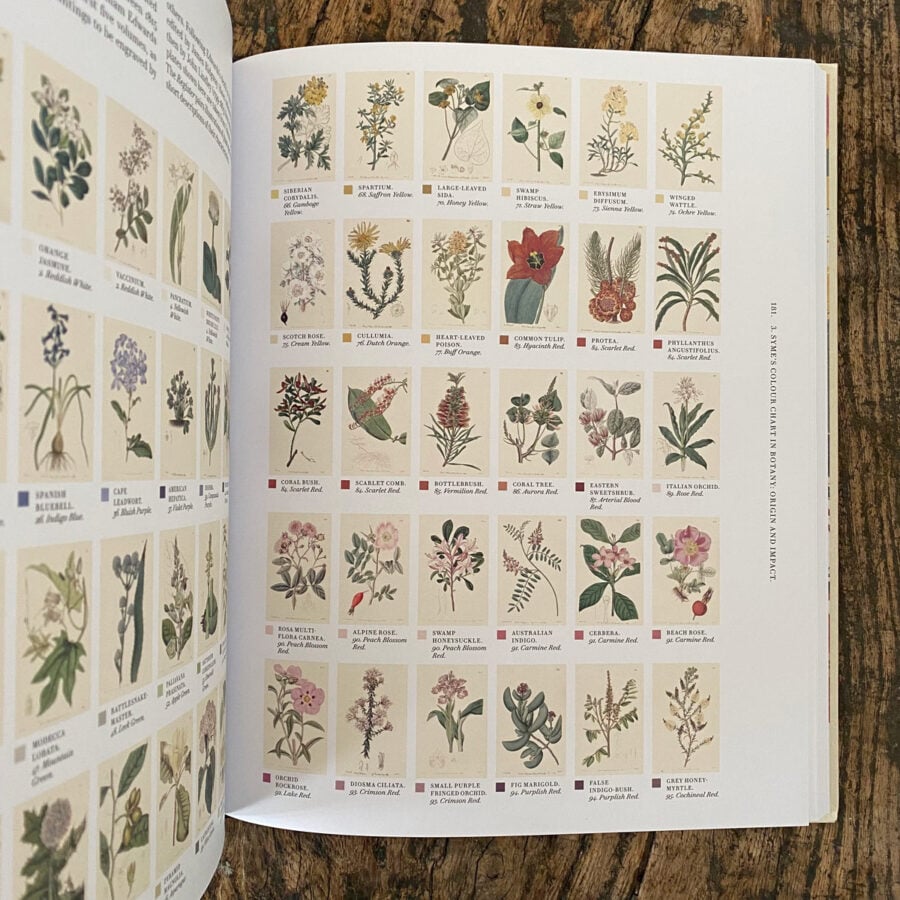 Nature's Palette: A Colour Reference System From the Natural World - Image 2