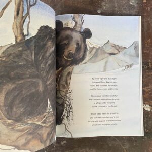 Something About A Bear by Jackie Morris - Image 3