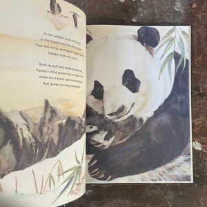 Something About A Bear by Jackie Morris - Image 4