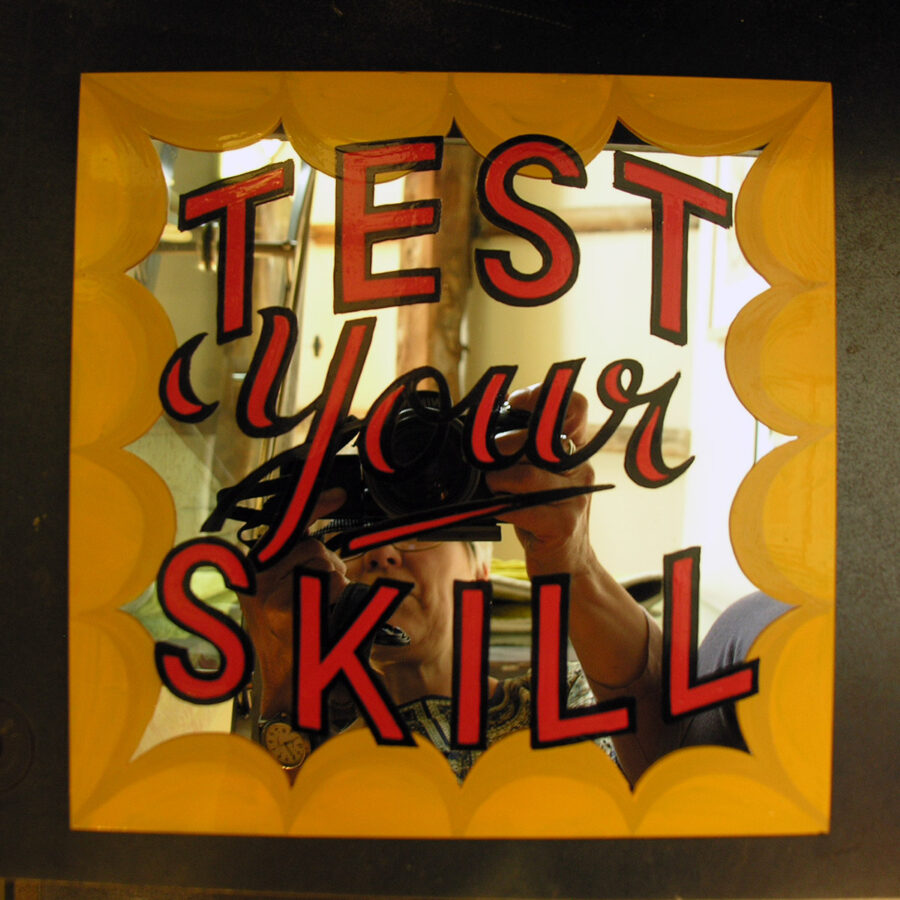 Test Your Skill HSW15 - Image 1