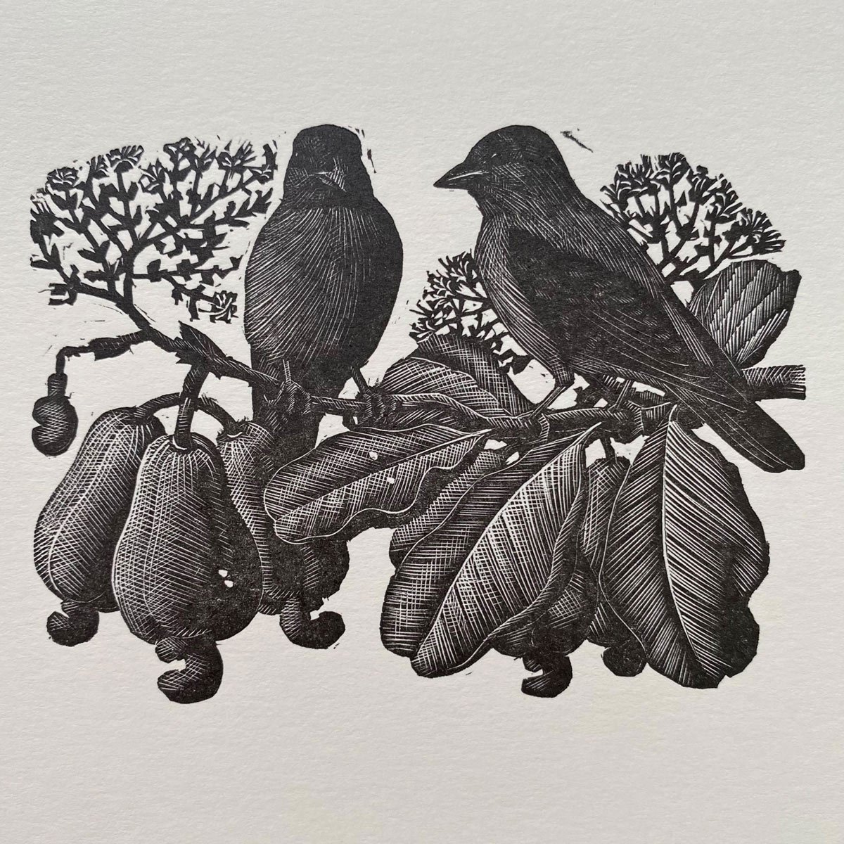 Tunnicliffe Notelet Set - Image 10