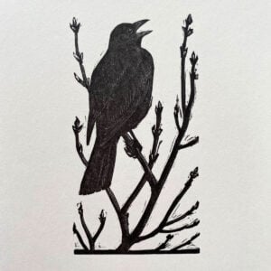 Tunnicliffe Notelet Set - Image 9