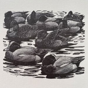 Tunnicliffe Notelet Set - Image 4