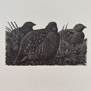 Tunnicliffe Notelet Set - Image 8