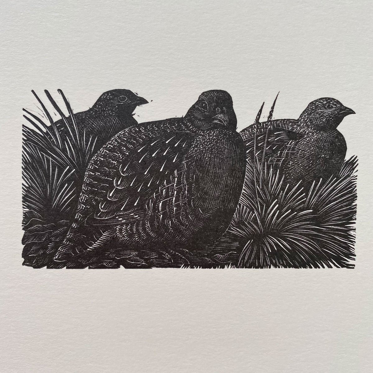 Tunnicliffe Notelet Set - Image 8