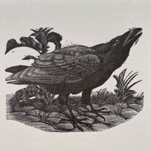 Tunnicliffe Notelet Set - Image 7