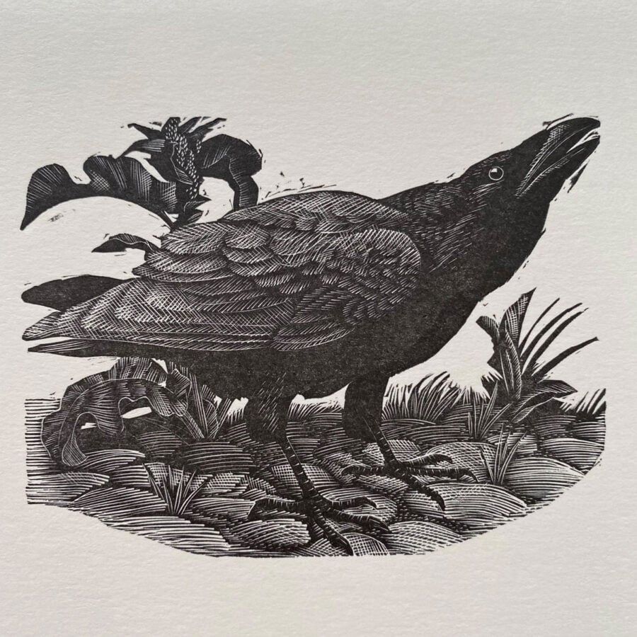 Tunnicliffe Notelet Set - Image 7