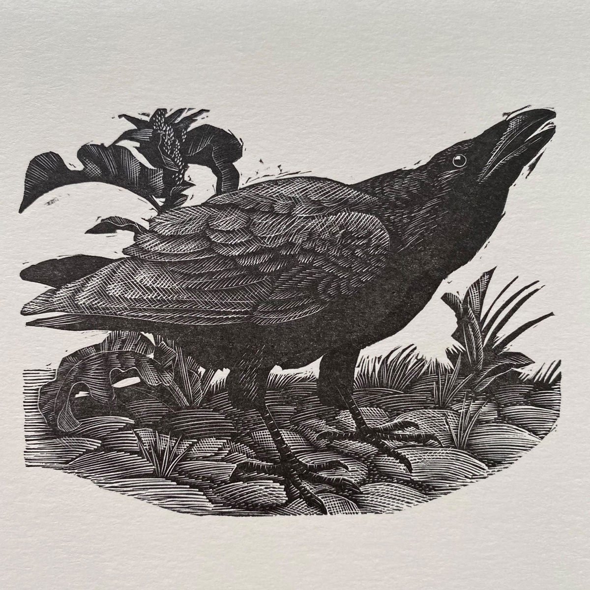 Tunnicliffe Notelet Set - Image 7