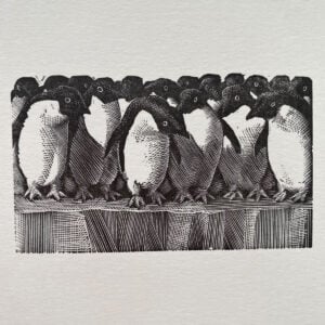 Tunnicliffe Notelet Set - Image 6