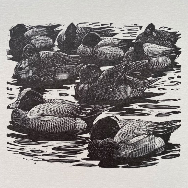 Tunnicliffe Notelet Set - Image 4