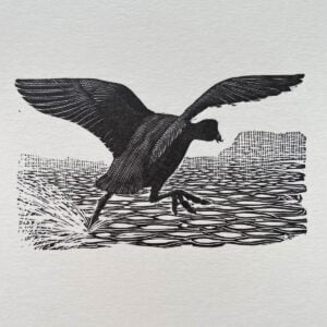 Tunnicliffe Notelet Set - Image 5