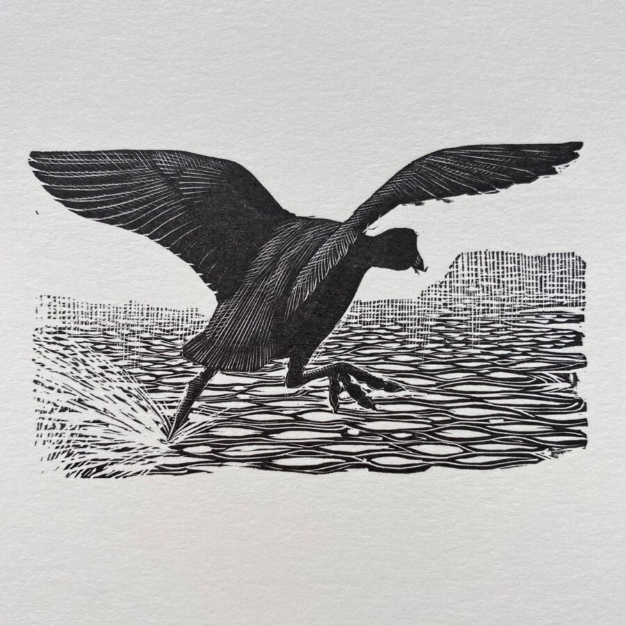 Tunnicliffe Notelet Set - Image 5