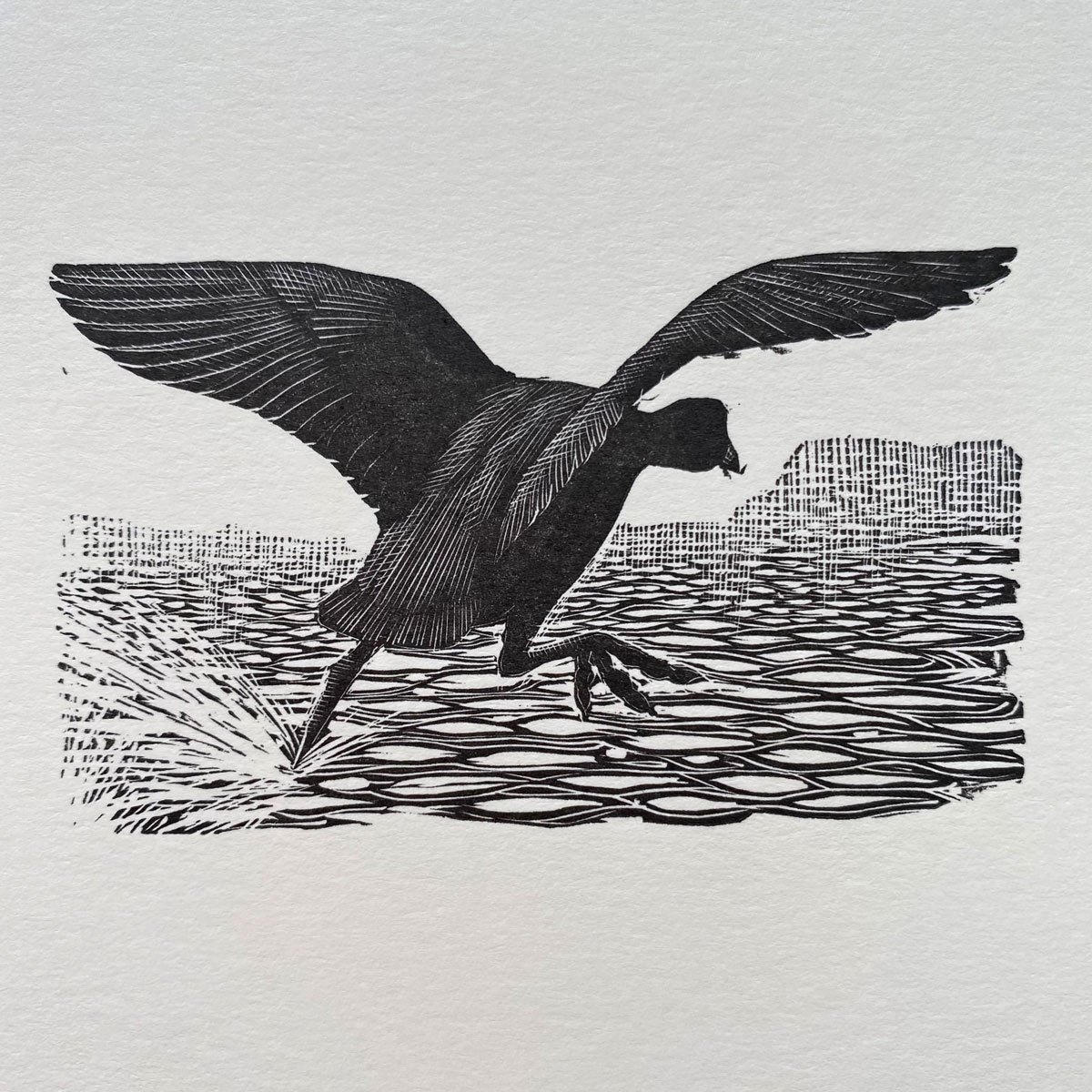 Tunnicliffe Notelet Set - Image 5