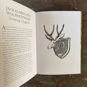 Treasury of Folklore: Woodlands & Forests by Dee Dee Chainey & Willow Winsham - Image 3