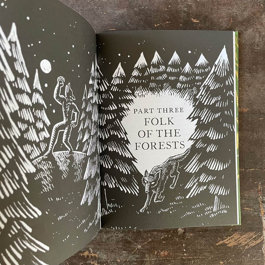 Treasury of Folklore: Woodlands & Forests by Dee Dee Chainey & Willow Winsham - Image 4