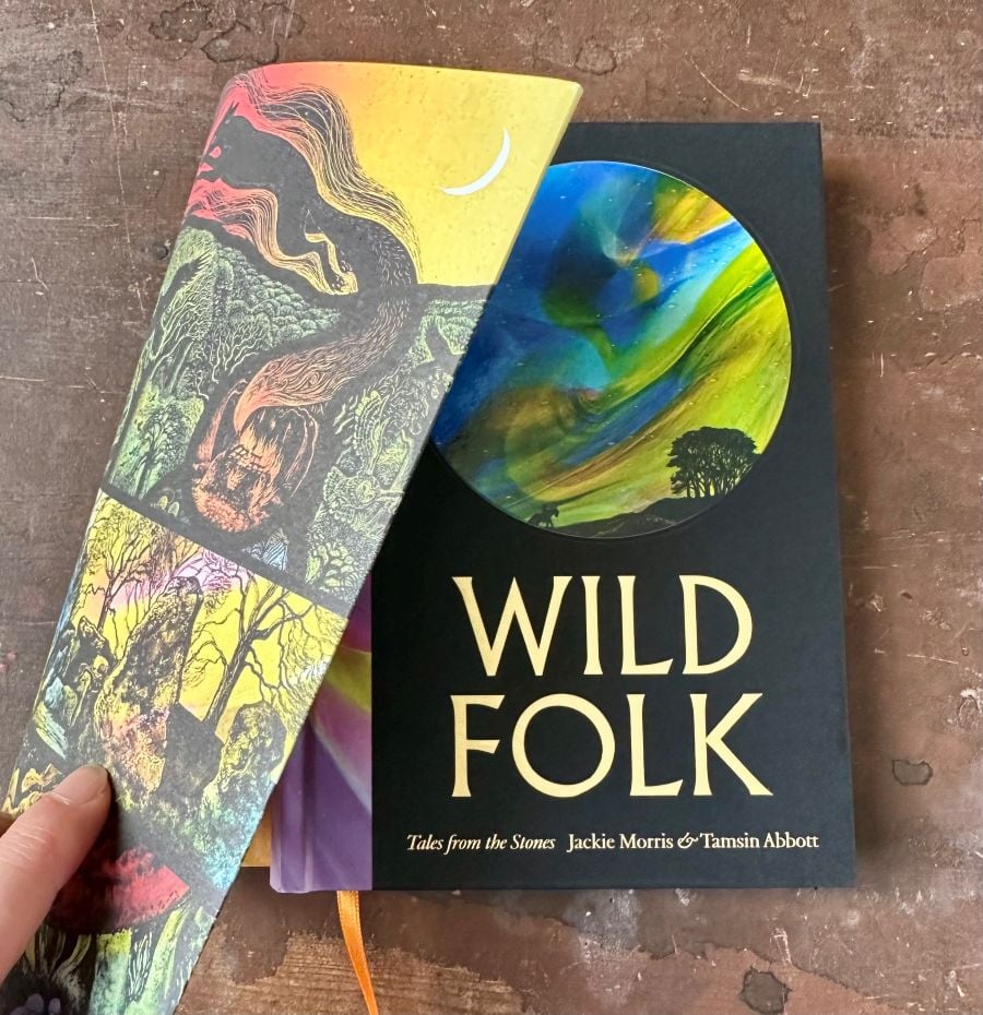 Wild Folk, Tales from the Stones by Jackie Morris & Tamsin Abbott - Image 5