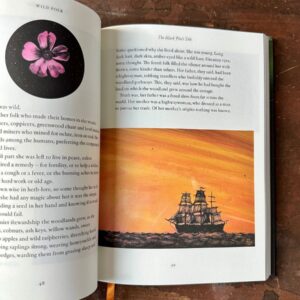 Wild Folk, Tales from the Stones by Jackie Morris & Tamsin Abbott - Image 4