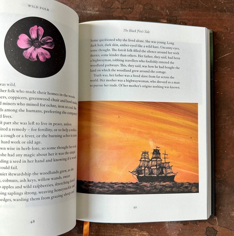 Wild Folk, Tales from the Stones by Jackie Morris & Tamsin Abbott - Image 4