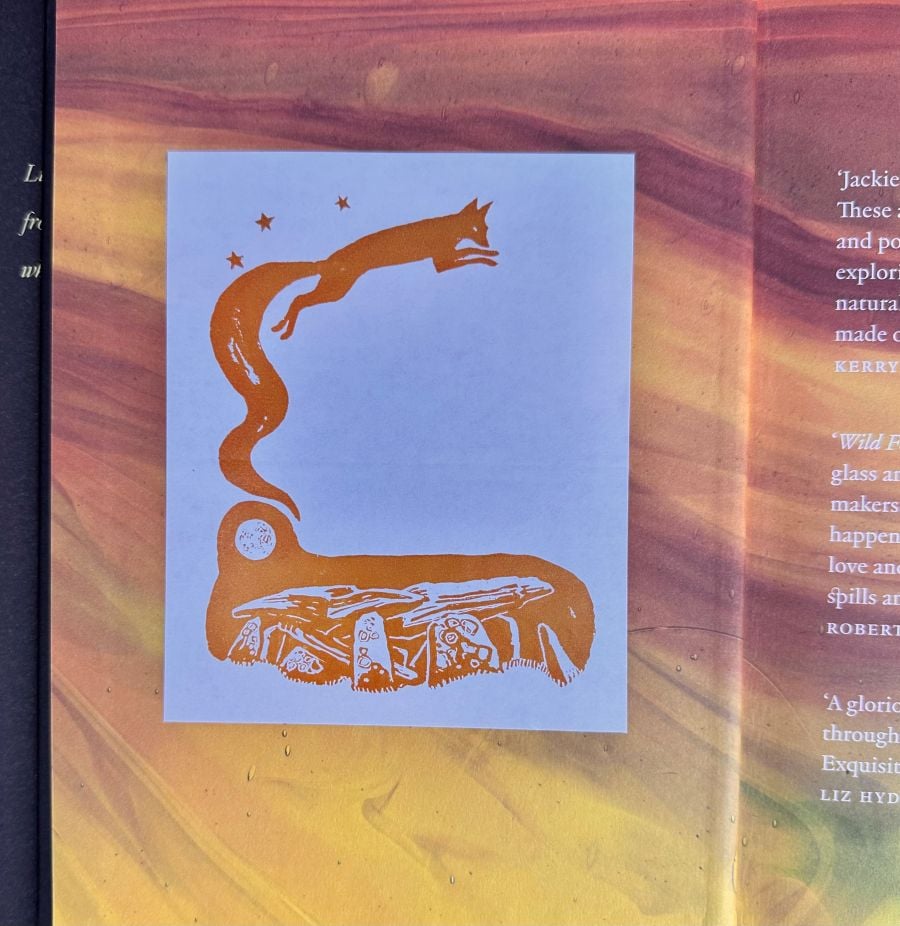 Wild Folk, Tales from the Stones by Jackie Morris & Tamsin Abbott - Image 6