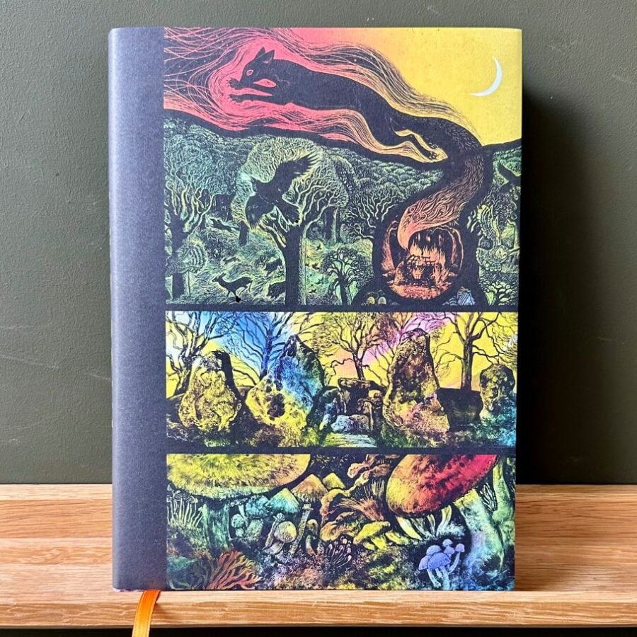 Wild Folk, Tales from the Stones by Jackie Morris & Tamsin Abbott