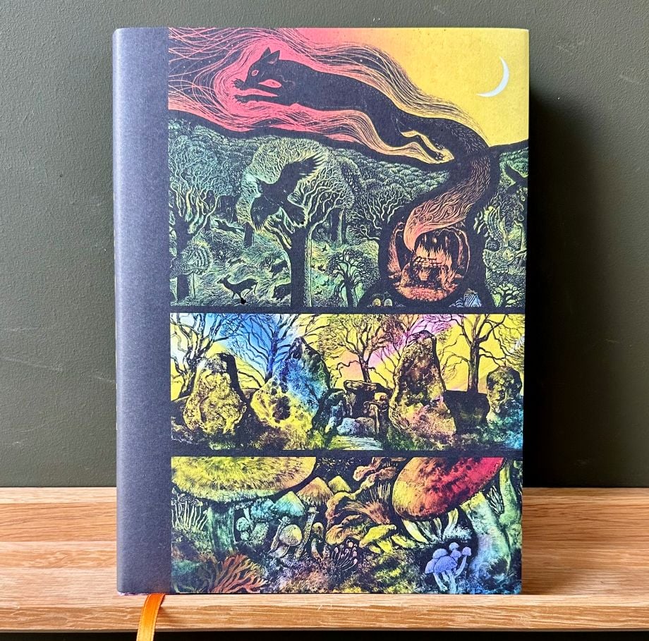 Wild Folk, Tales from the Stones by Jackie Morris & Tamsin Abbott - Image 1