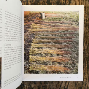 Willow by Jenny Crisp - Image 2