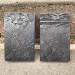 Kestrel by Charles Tunnicliffe - Image 3