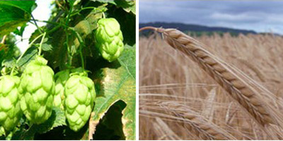 Beer – March 2013, Calendar Blog