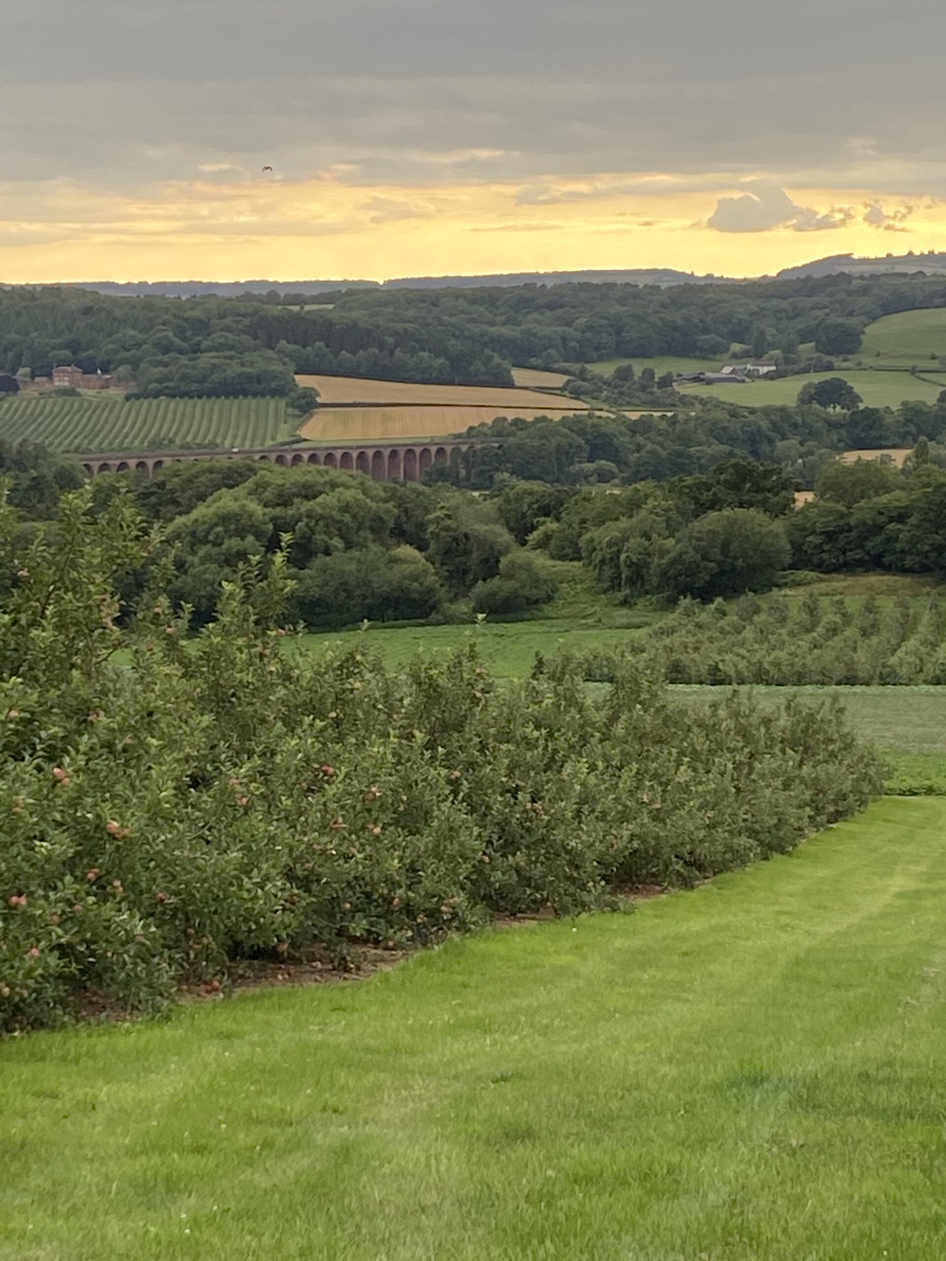 Ledbury Viaduct from Frith Wood