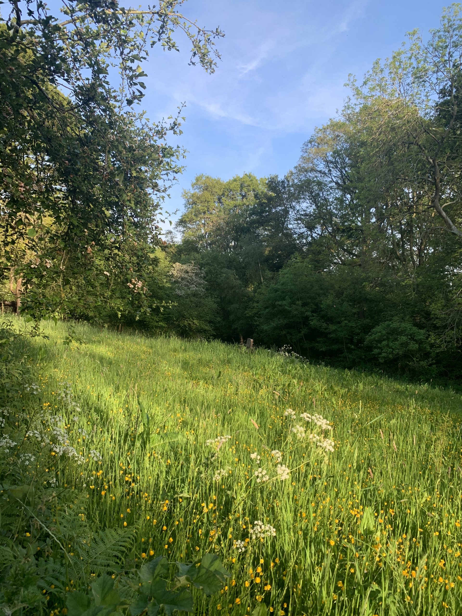 Things to do and see in Ledburyshire 2022